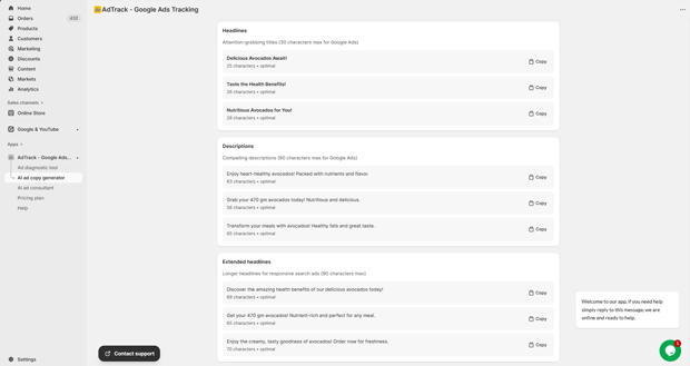 Google Ad Copy Template